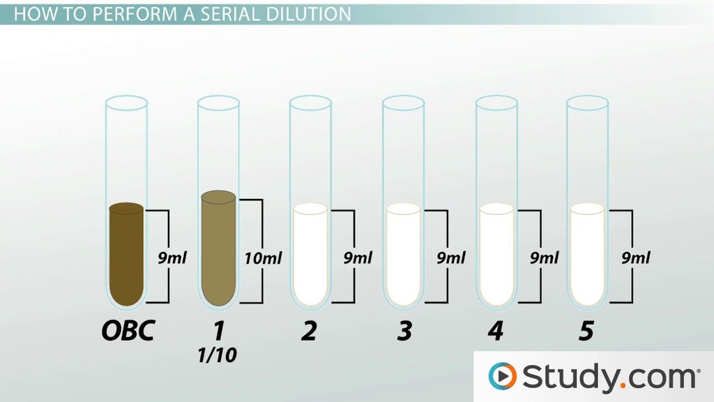 simple dilution lab